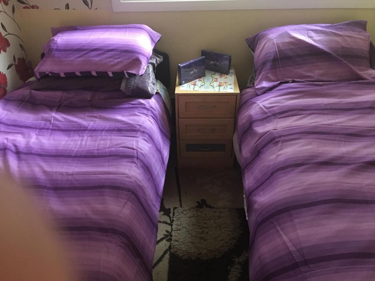 Woodland Views Central Heated Cabin 다트머스 외부 사진