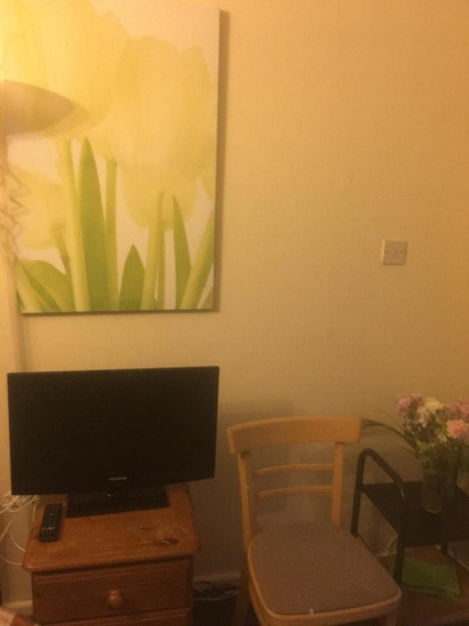 Woodland Views Central Heated Cabin 다트머스 외부 사진